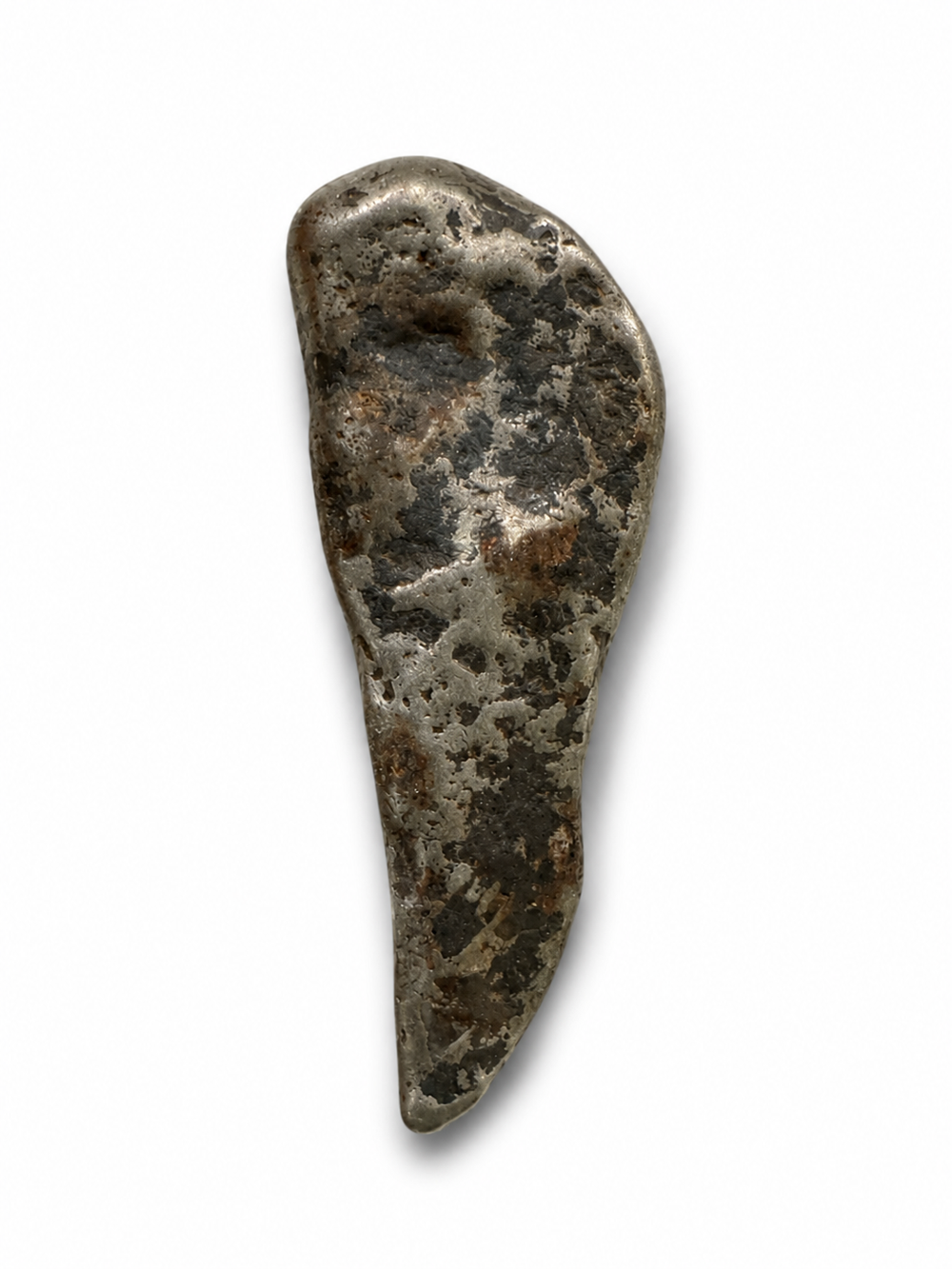 Exact polished Mundrabilla Iron Meteorite specimen photographed on a white background.