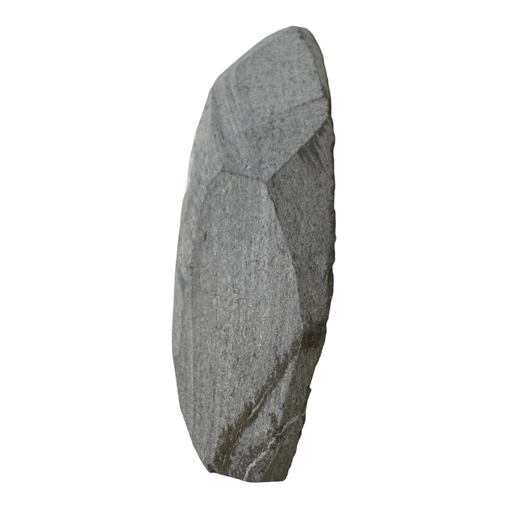 GeoFossils Promicroceras planicosta – calcite ammonite fossil, 2.5 cm (1 inch), Lower Lias (Obtusum Zone), Sinemurian, Charmouth, Dorset, UK Jurassic Coast. #4