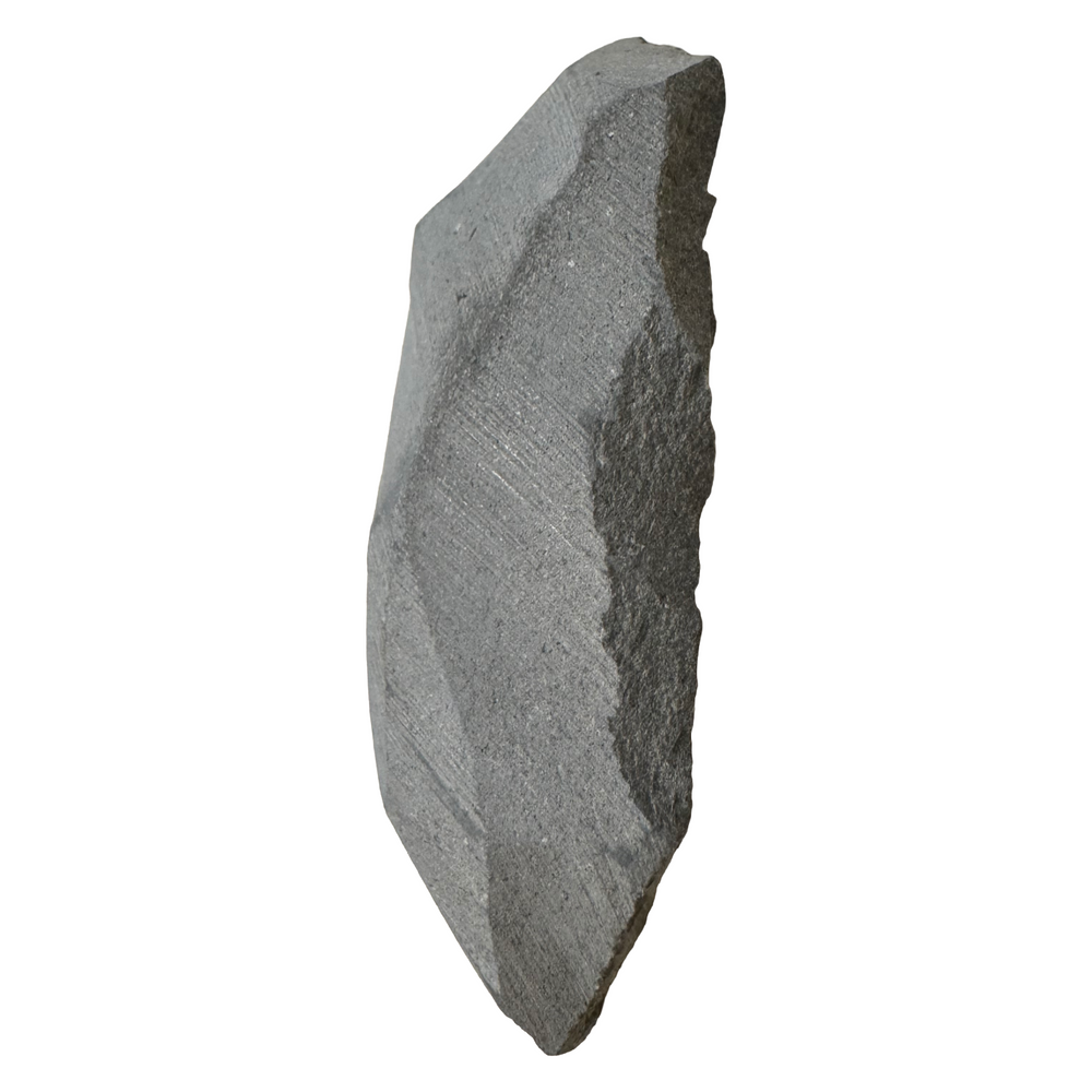 GeoFossils Promicroceras planicosta – calcite ammonite fossil, 2.5 cm (1 inch), Lower Lias (Obtusum Zone), Sinemurian, Charmouth, Dorset, UK Jurassic Coast.#6