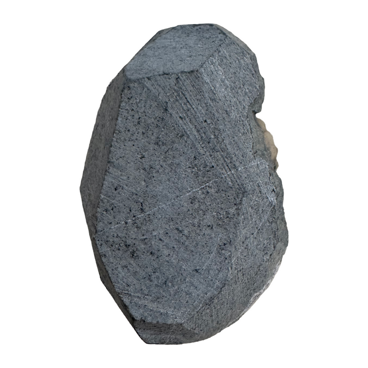 GeoFossils Promicroceras planicosta – calcite ammonite fossil, 2.5 cm (1 inch), Lower Lias (Obtusum Zone), Sinemurian, Charmouth, Dorset, UK Jurassic Coast. #7