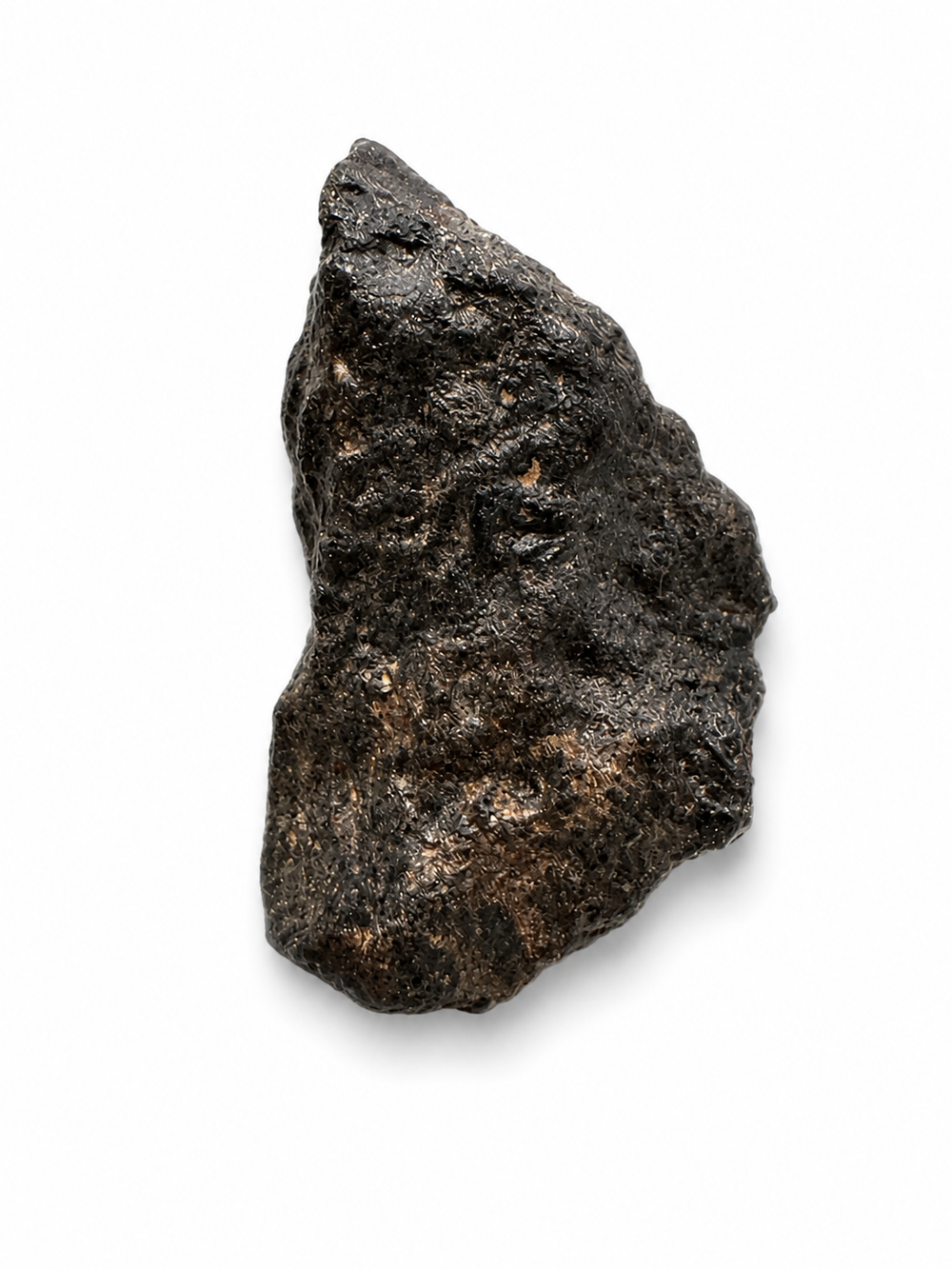 Natural Rafsa 007 meteorite from Algeria showing its original exterior.