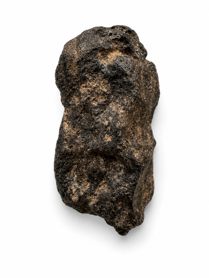 Collector-grade Rafsa 007 meteorite specimen.