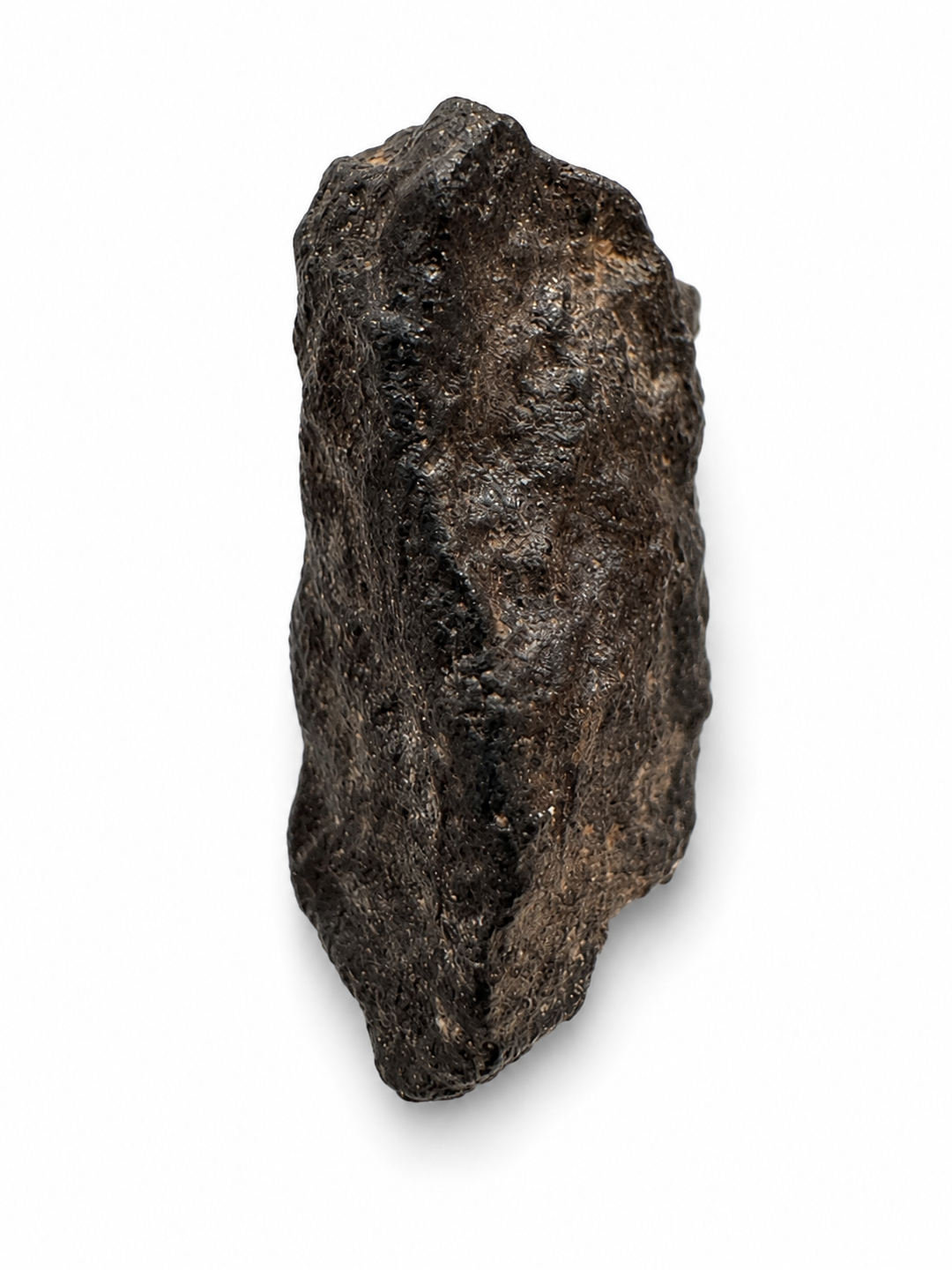 Rare angrite meteorite from Algeria on a white background.