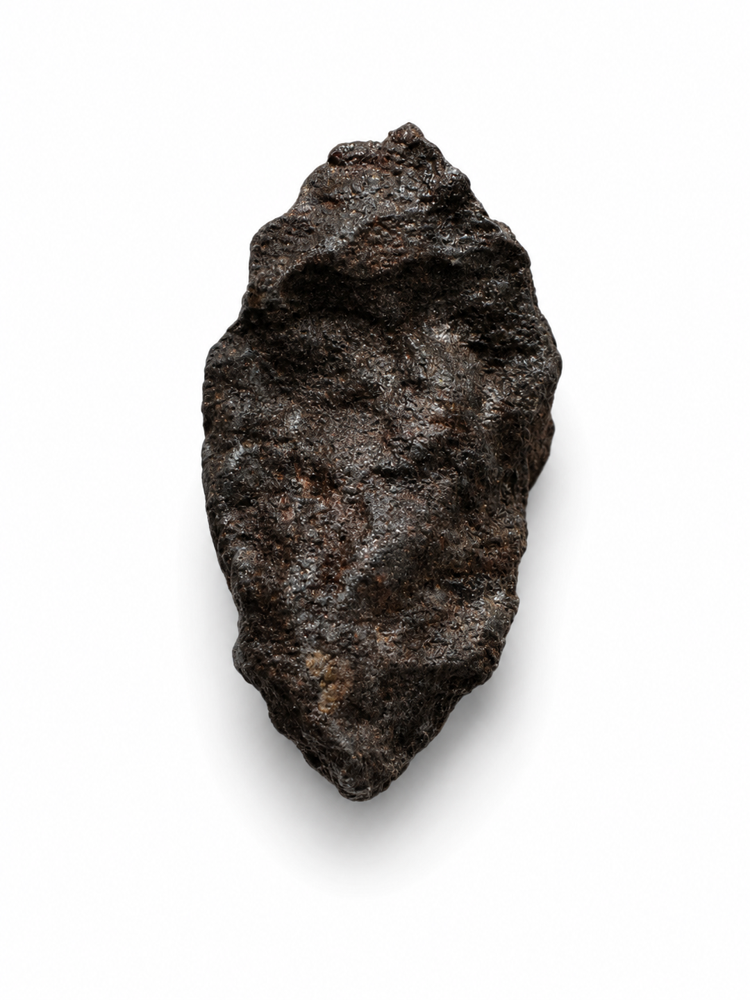 Rafsa 007 angrite specimen shown on hand for scale.