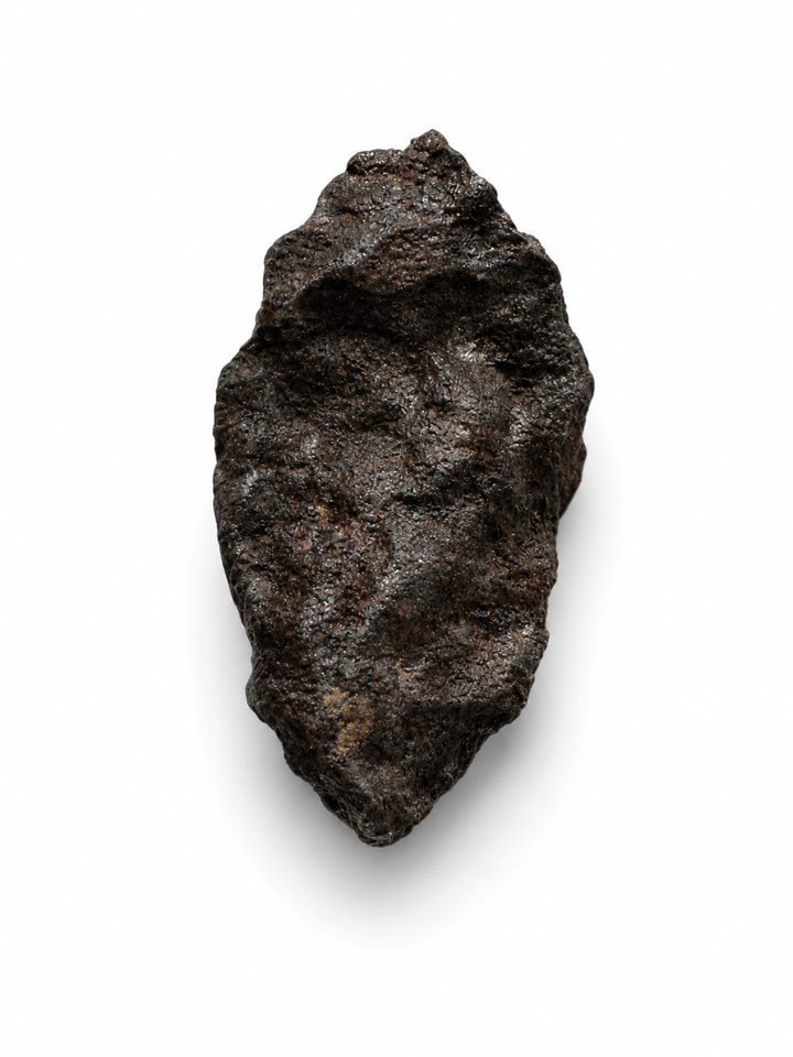 Rafsa 007 angrite specimen shown on hand for scale.