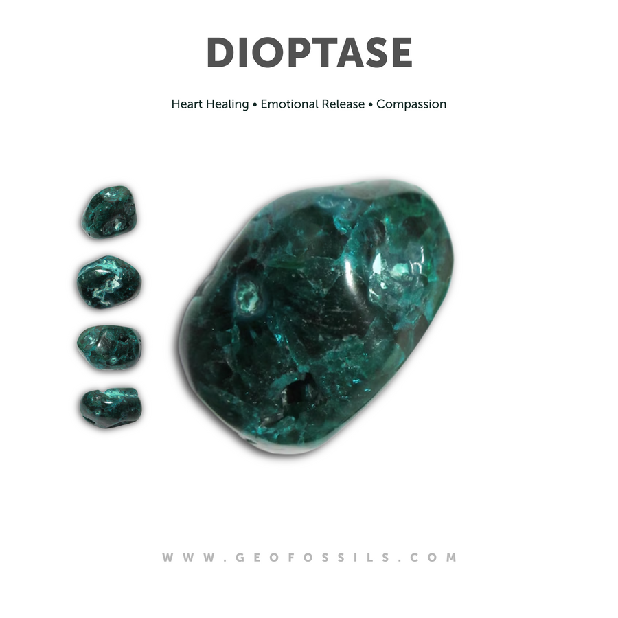 GeoFossils Dioptase Tumble Stones – group of polished deep green stones with rich emerald tones