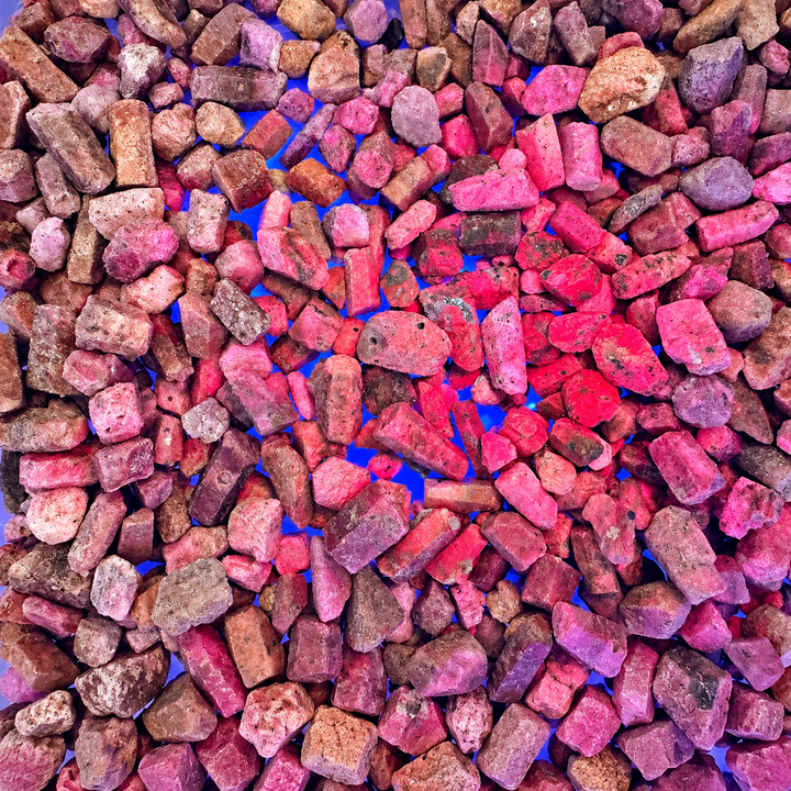 GeoFossils selection of rough Ruby mineral specimens displaying vibrant pink-red fluorescence under UV light, with varying fluorescence intensity and darker mineral inclusions.
