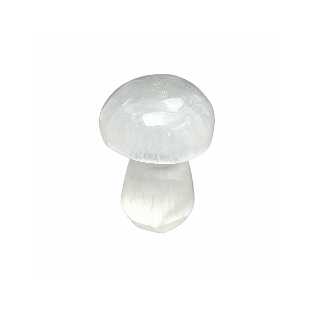 Selenite Mushroom 2 cm crystal shown on white background.