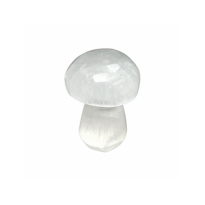 Selenite Mushroom 2 cm crystal shown on white background.