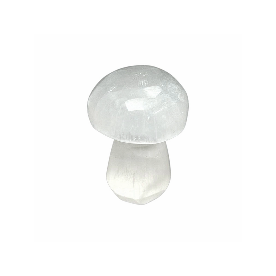 Selenite Mushroom 2 cm crystal shown on white background.