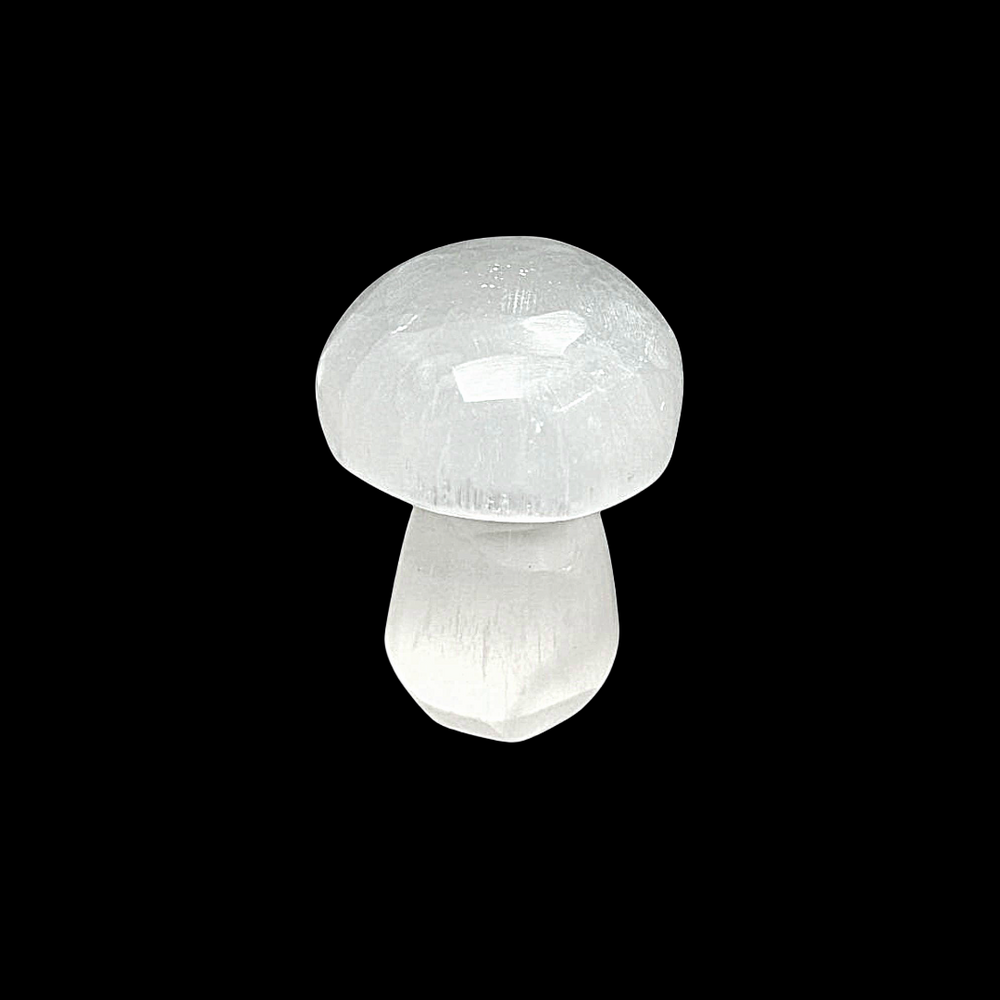 Selenite Mushroom 2 cm crystal shown on black background.