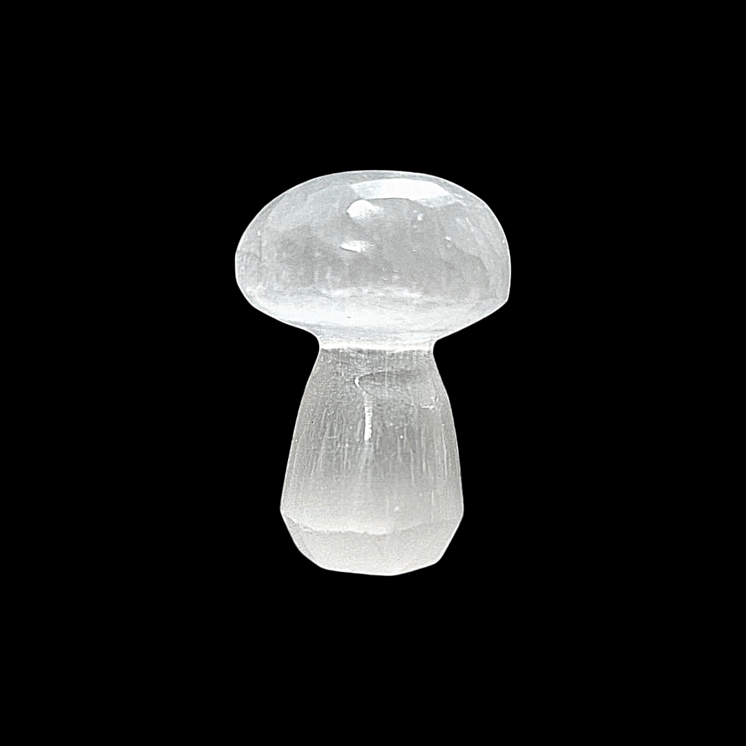 Selenite Mushroom 2 cm crystal shown on black background.