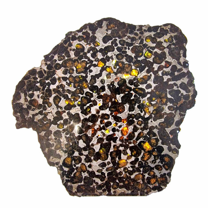 GeoFossils Sericho Pallasite Meteorite – Polished Stony-Iron Meteorite with Olivine Crystals from Kenya