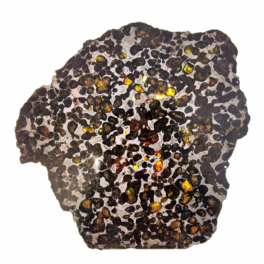 GeoFossils Sericho Pallasite Meteorite – Polished Stony-Iron Meteorite with Olivine Crystals from Kenya