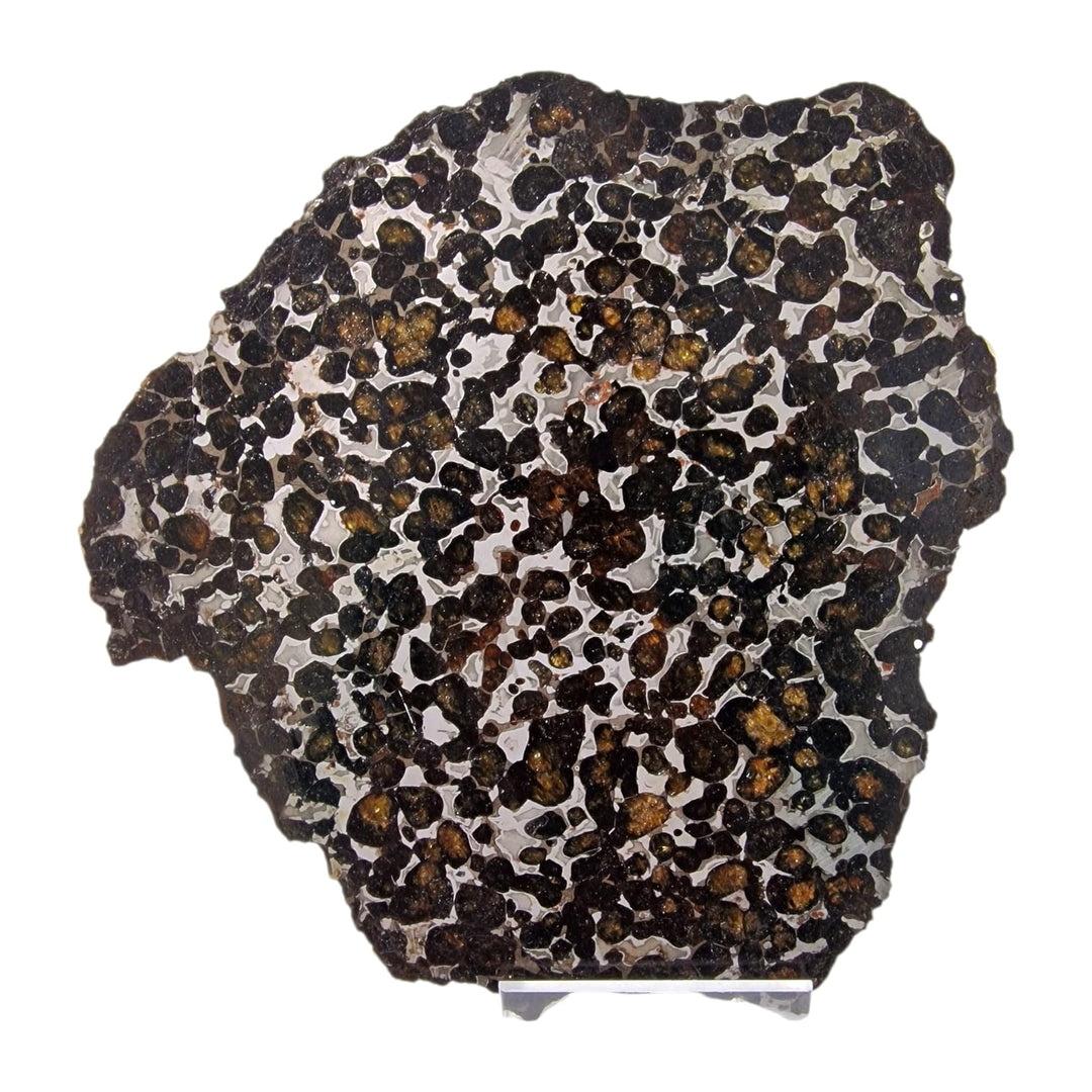 GeoFossils Sericho Pallasite Meteorite – Polished Stony-Iron Meteorite with Olivine Crystals from Kenya no light.