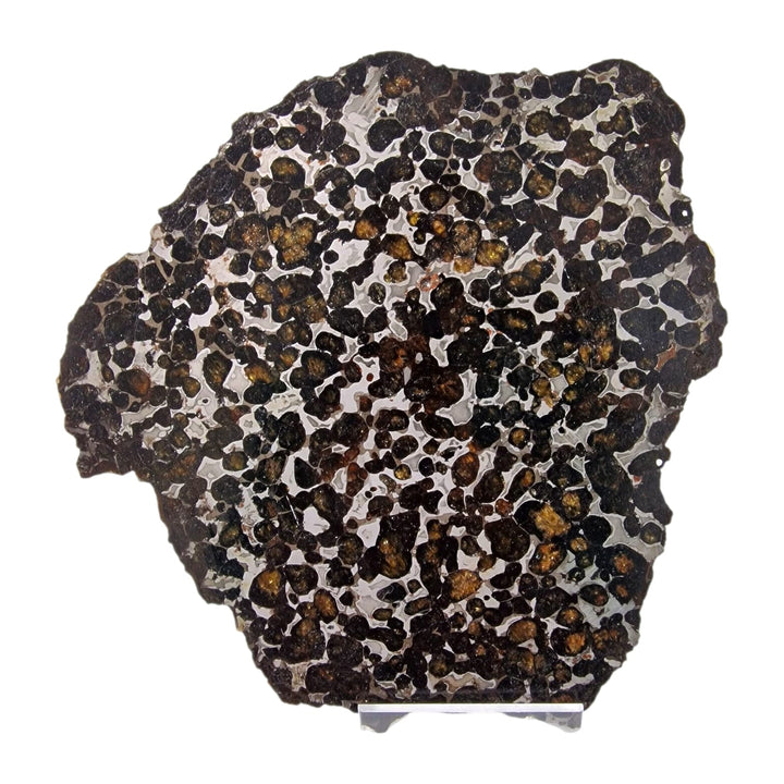GeoFossils Sericho Pallasite Meteorite – Polished Stony-Iron Meteorite with Olivine Crystals from Kenya no light.
