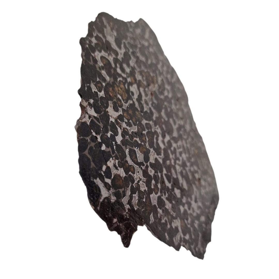 Side profile GeoFossils Sericho Pallasite Meteorite – Polished Stony-Iron Meteorite with Olivine Crystals from Kenya