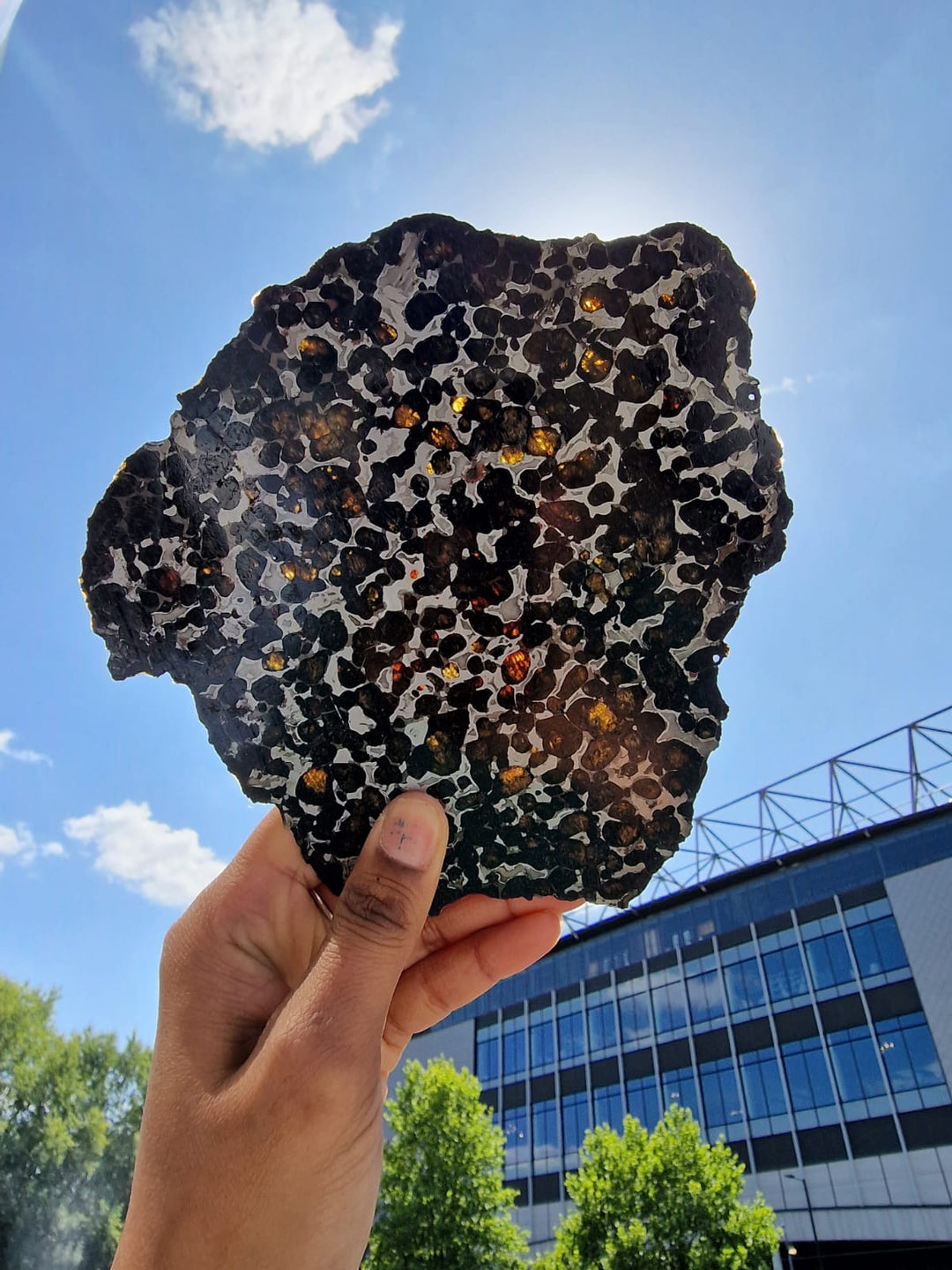 GeoFossils Sericho Pallasite Meteorite – Polished Stony-Iron Meteorite with Olivine Crystals from Kenya. Image taken in sunlight with Olivine highlighted, Blue sky, Twickenham Rugby stadium in Background.

