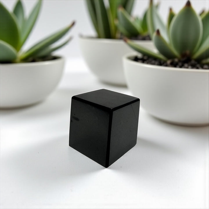 20mm Shungite cube displayed with succulents – natural EMF protection stone and meditation decor crystal.