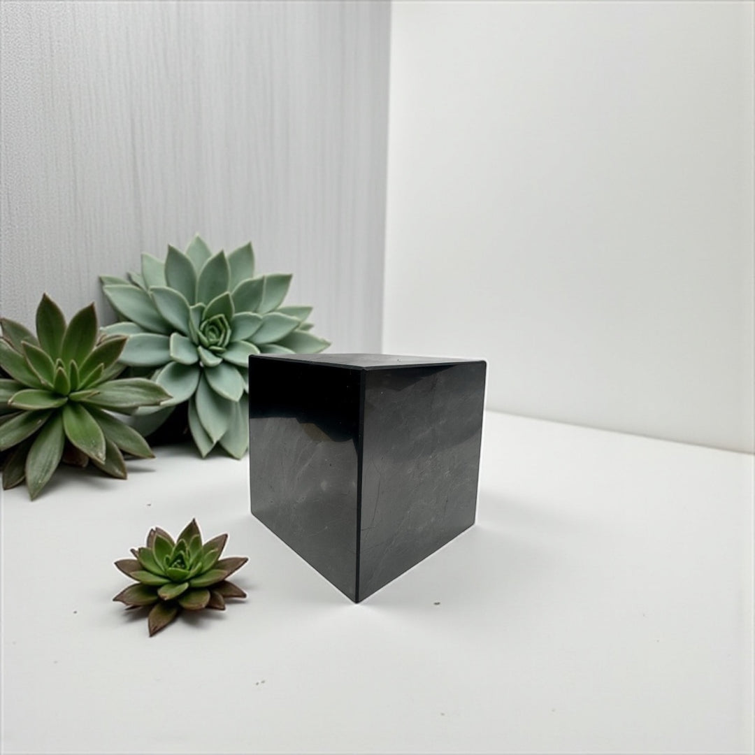 80mm Shungite cube displayed with succulents – modern crystal decor piece for wellness, EMF shielding, and energy cleansing.