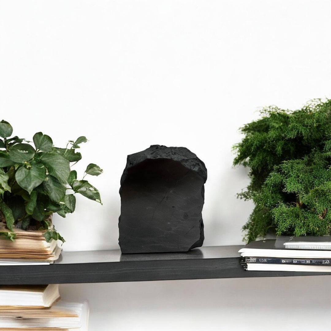 Medium one-face polished shungite stone placed on a shelf between green plants, ideal for home decor and energy cleansing.