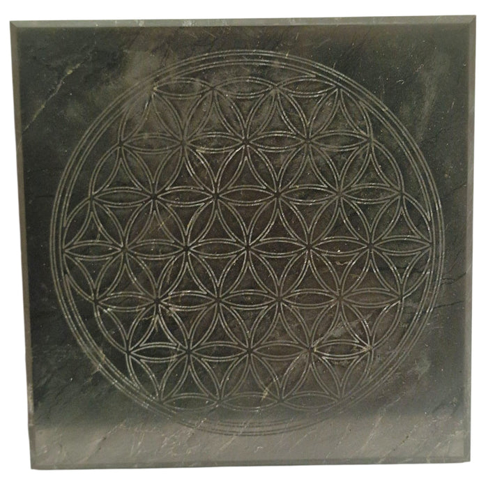 Shungite 10cm round disc with Flower of Life engraving on white background, charging plate for crystals and meditation