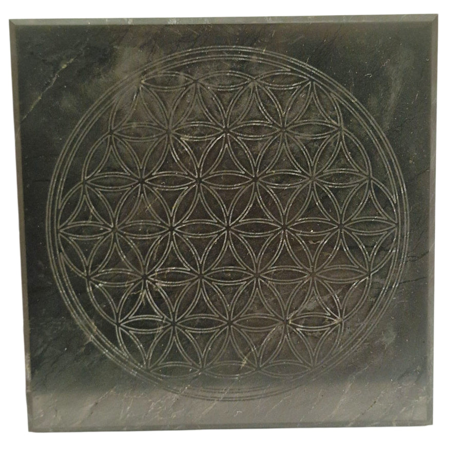 Shungite 10cm round disc with Flower of Life engraving on white background, charging plate for crystals and meditation