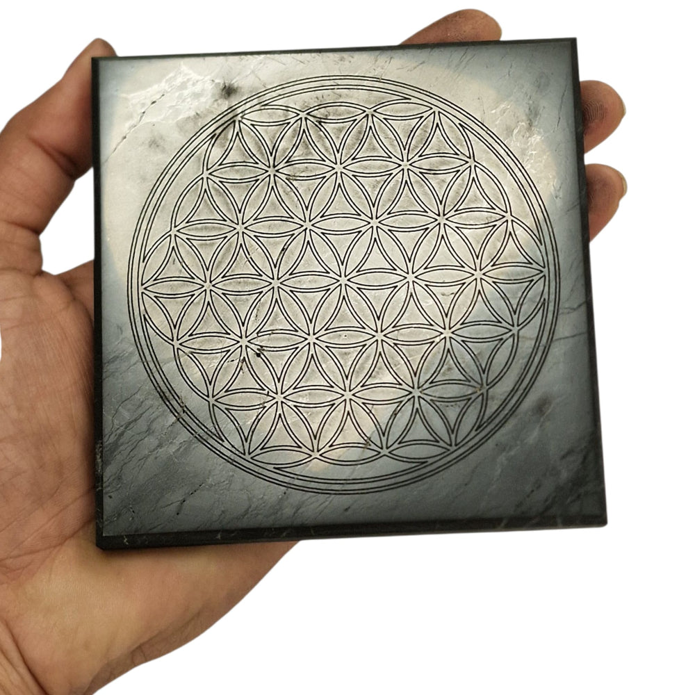 Shungite 10cm round Flower of Life charging disc on hand for size reference, grounding and EMF protection crystal