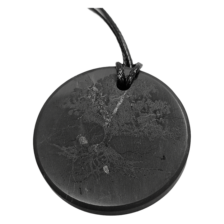 Close-up of Tree of Life engraving on Shungite pendant showing detailed design and smooth polish