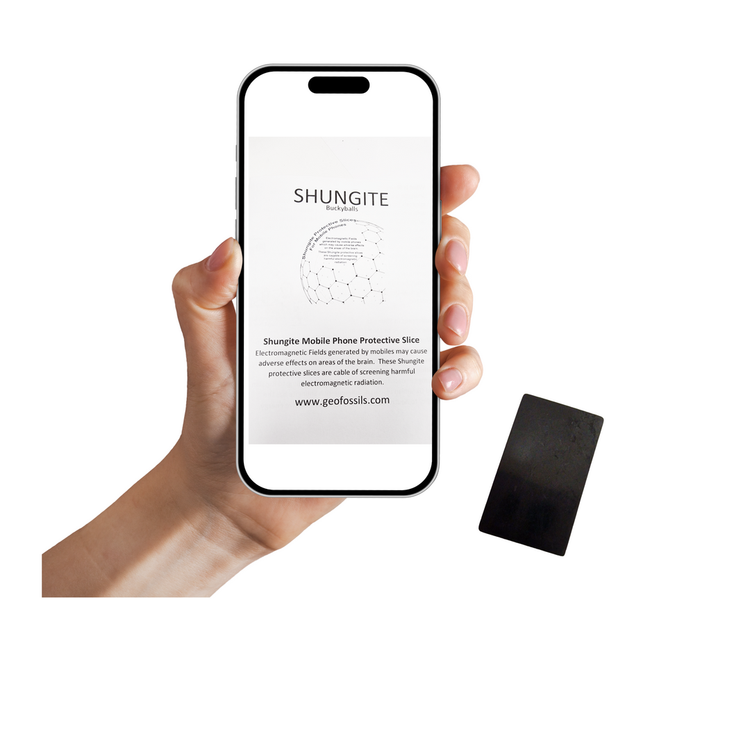 Shungite Cell Phone Disc