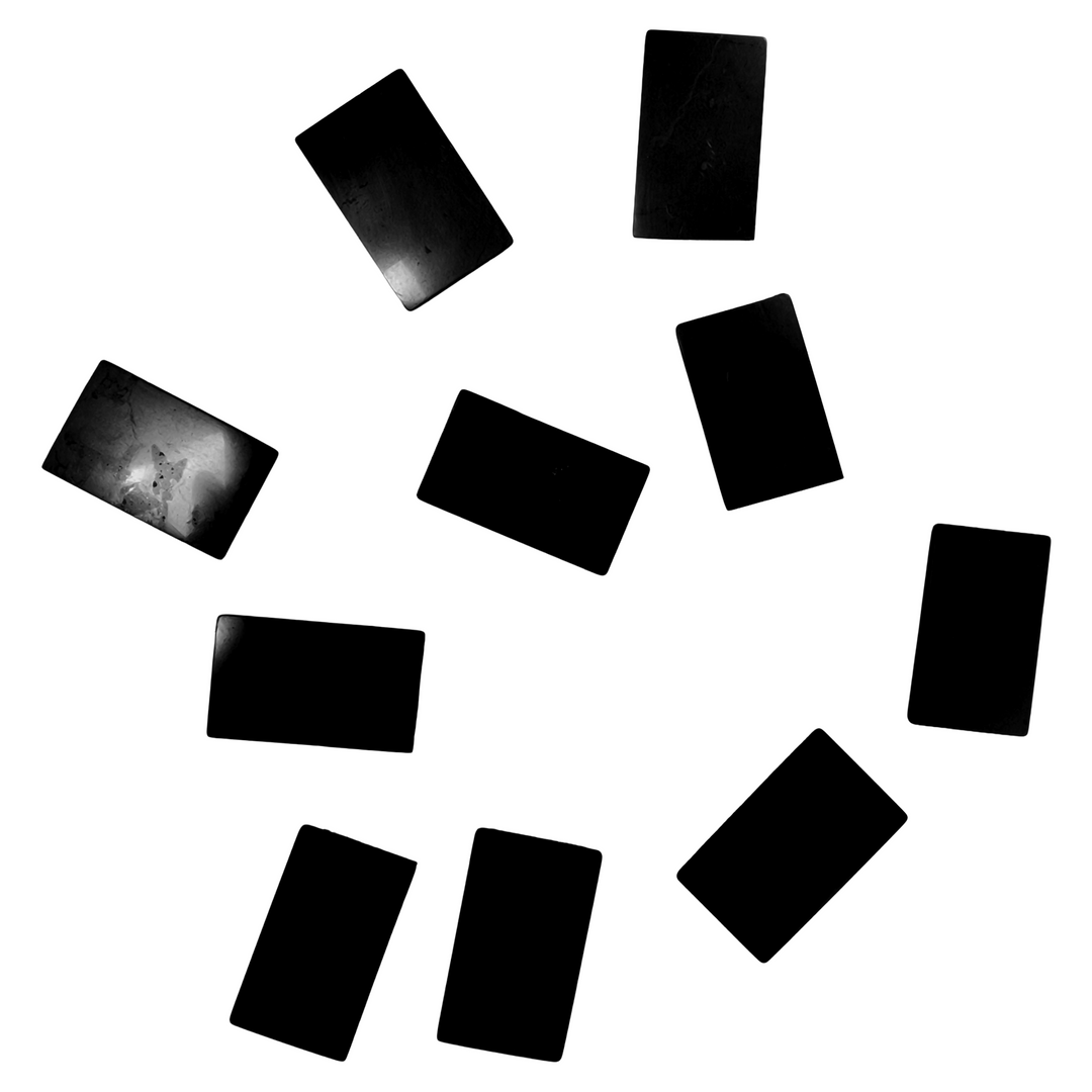Shungite Cell Phone Disc