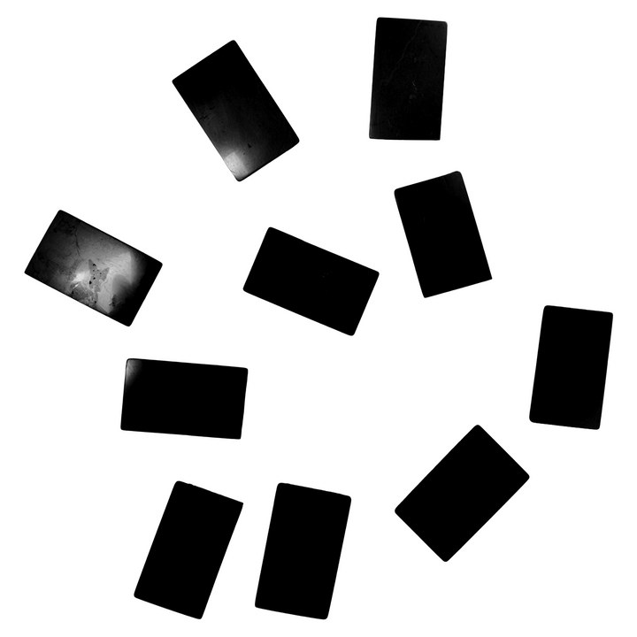 Shungite Cell Phone Disc
