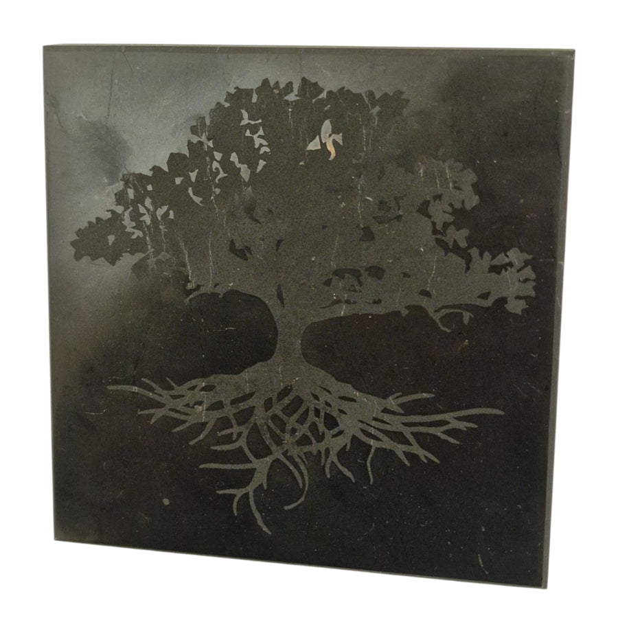 Shungite 10cm square disc with Tree of Life engraving on white background, charging plate for crystals and jewellery