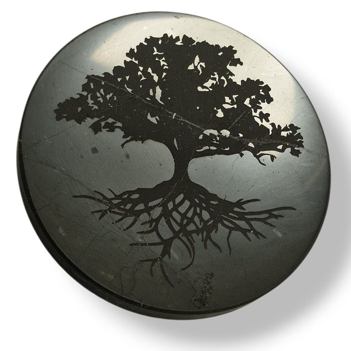 Shungite 10cm round disc with Tree of Life engraving on white background, charging plate for crystals and meditation