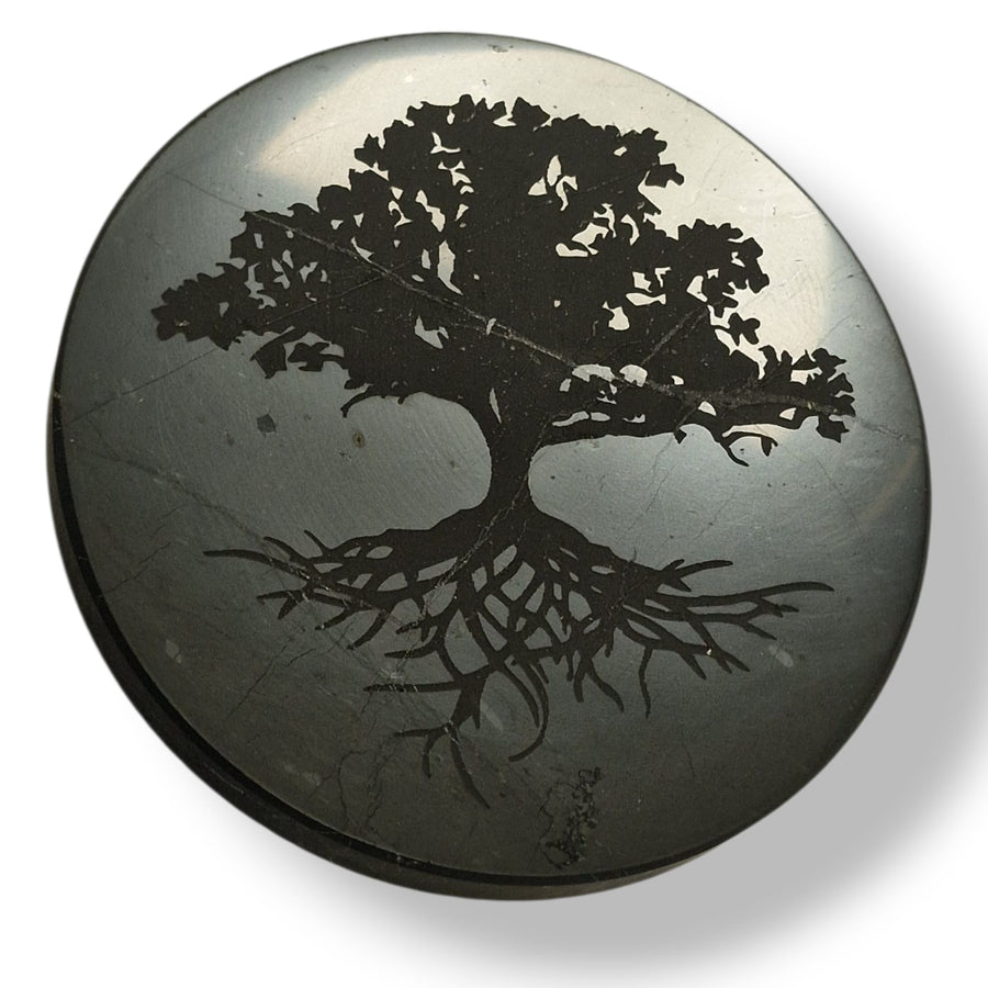 Shungite 10cm round disc with Tree of Life engraving on white background, charging plate for crystals and meditation