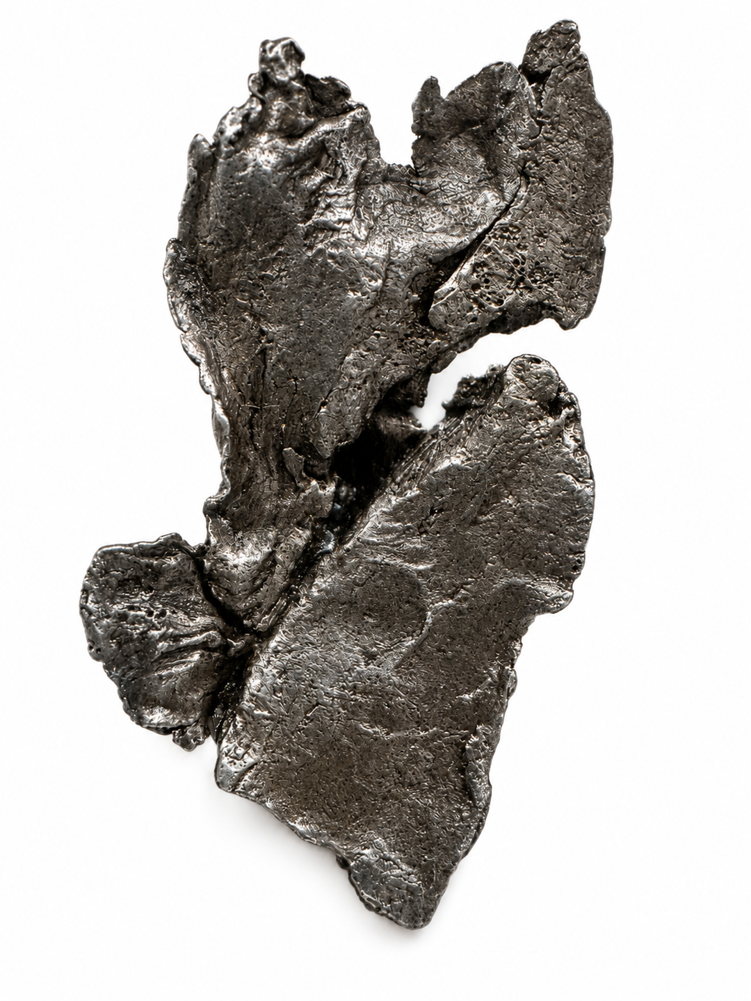 Sikhote-Alin Meteorite Specimen