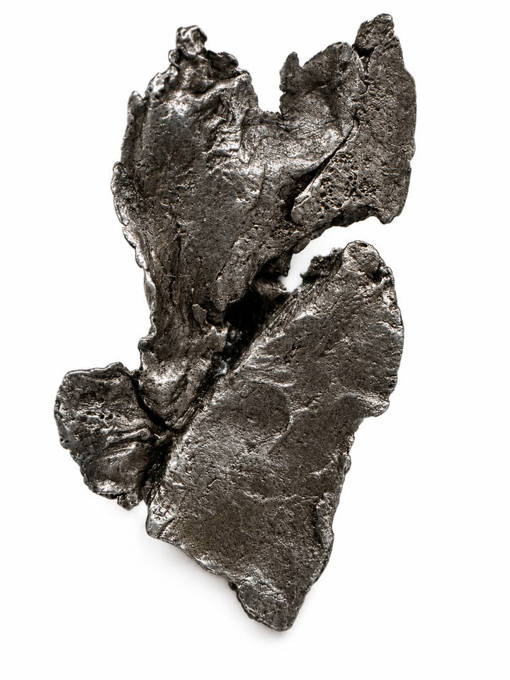 Sikhote-Alin Meteorite Specimen