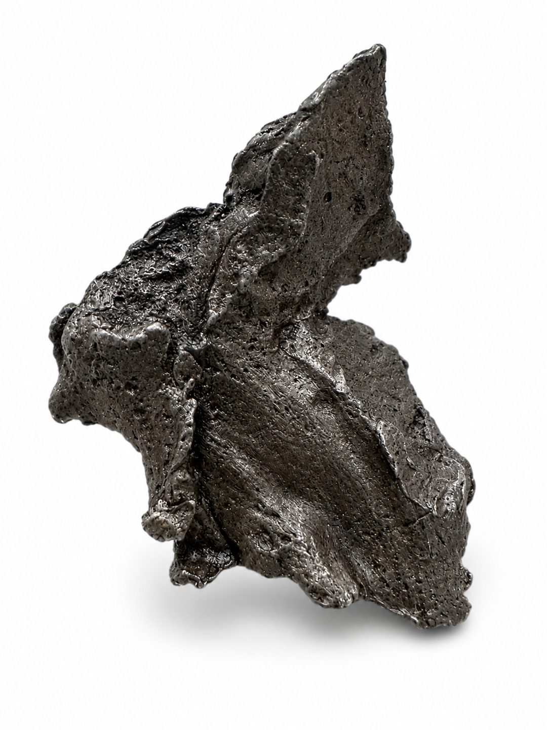 Sikhote-Alin Meteorite Specimen