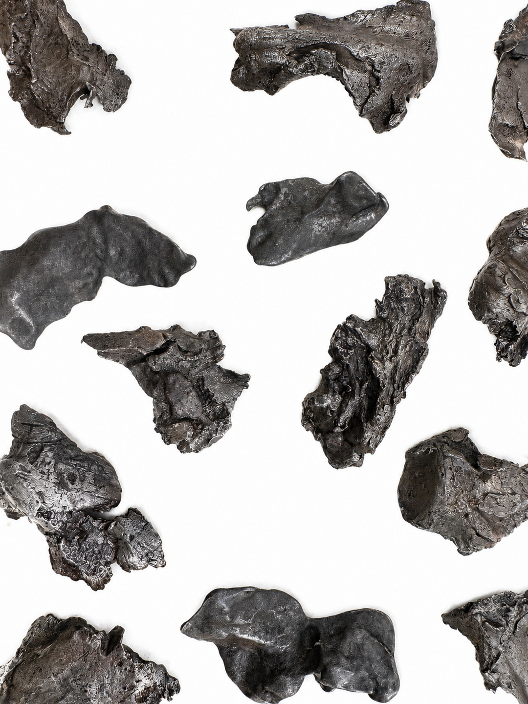 Sikhote-Alin Meteorite Specimen