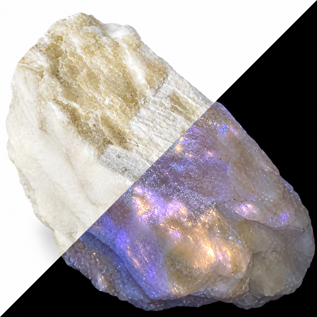 GeoFossils Sphalerite Specimen 177 comparing its daylight appearance with white to yellow fluorescence under Long Wave (LW) UV at 365 nm

