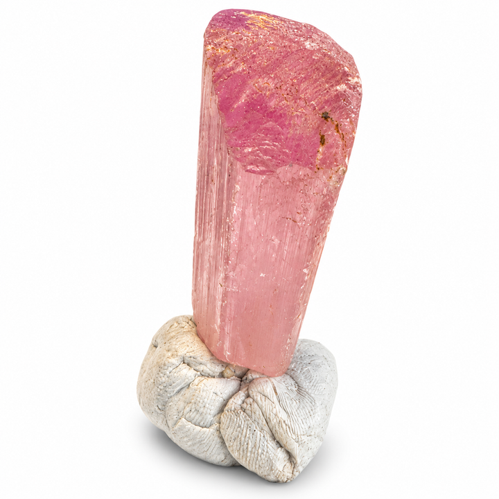 Natural pink Spodumene crystal from Nuristan, Afghanistan, featuring an elongated prismatic formation, delicate longitudinal striations and soft lilac-pink tones. A.P. Castleton Collection.