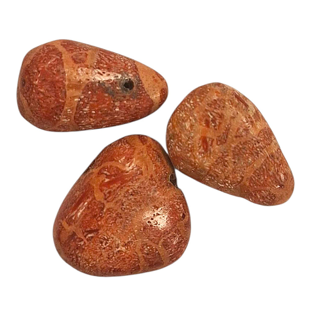 Sponge Coral drilled tumble stone pendant on a black cord – red fossil coral for vitality, grounding, courage and emotional strength