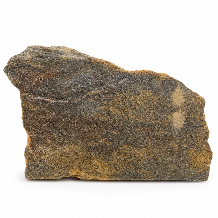 GeoFossils Svabite Specimen 163 shown in daylight