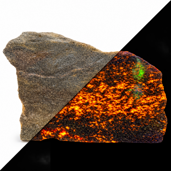 GeoFossils Svabite Specimen 163 comparing its daylight appearance with orange fluorescence under Short Wave (SW) UV
