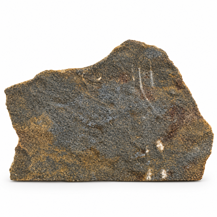 GeoFossils Svabite Specimen 164 shown in daylight