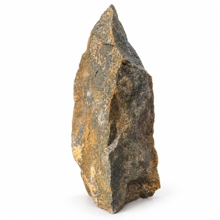 GeoFossils Svabite Specimen 165 shown in daylight