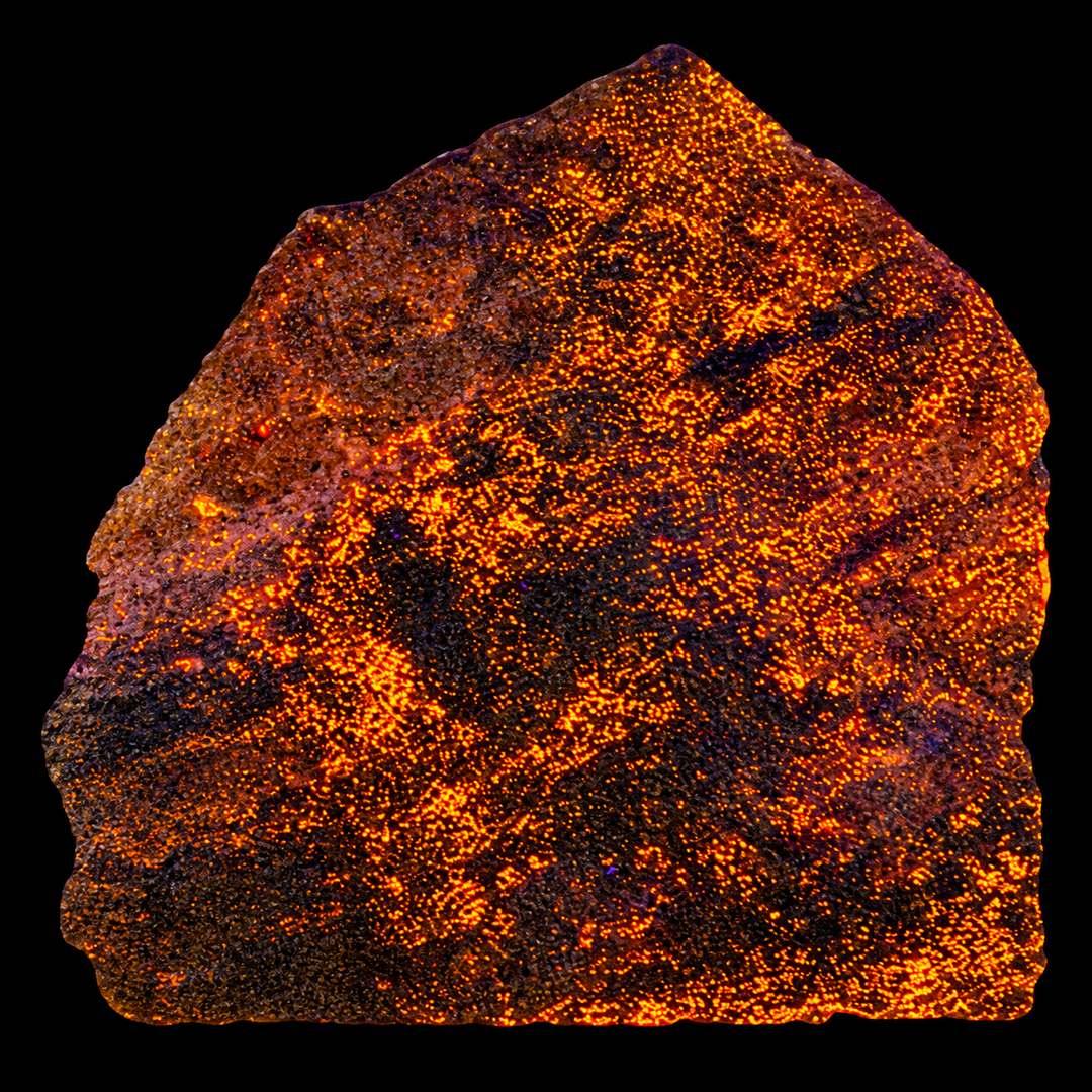 GeoFossils Svabite Specimen 166 displaying orange fluorescence under Short Wave (SW) UV