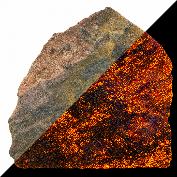 GeoFossils Svabite Specimen 166 comparing its daylight appearance with orange fluorescence under Short Wave (SW) UV