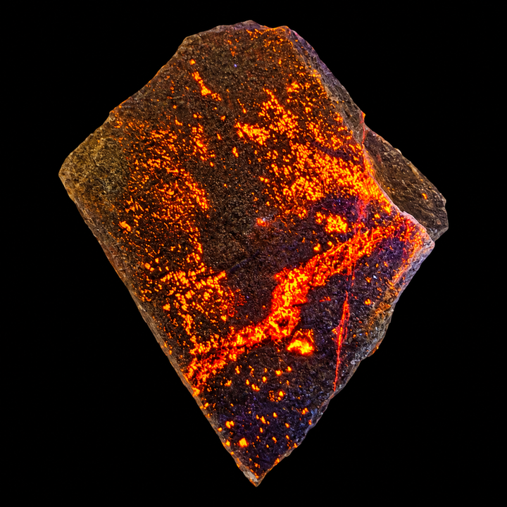 GeoFossils Svabite Specimen 167 displaying orange fluorescence under Short Wave (SW) UV