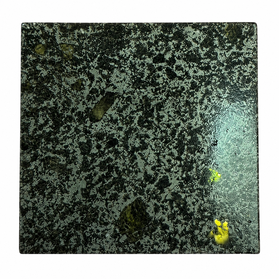 Natural Tanezrouft 091 mesosiderite meteorite slice featuring a polished cross-section with metallic matrix and silicate crystals on a white background.